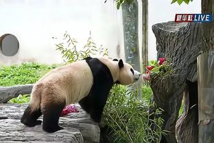 中国女足1-0领先美国女足！沈梦雨门前抢点破门